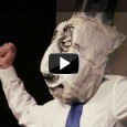 Our giant puppets are back, telling the story of climate justice through theatrical storytelling.