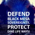   On May 14, 2018, the Diné elders of Black Mesa and Big Mountain are calling resisters from near and far to converge at Black Mesa! On that day, they […]
